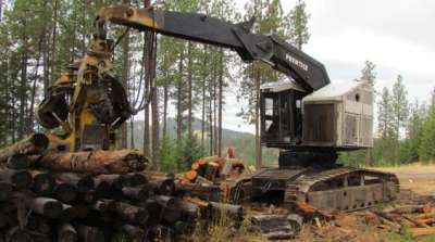 2000 Prentice 620 Feller Buncher  