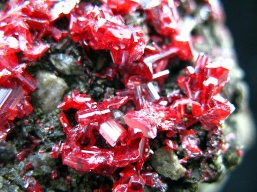 2LB,crimson red REALGAR w/CALCITE specimen  R022  