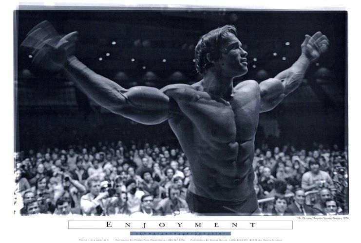 Arnold Schwarzenegger 27 x 40 Movie Poster , Style E  