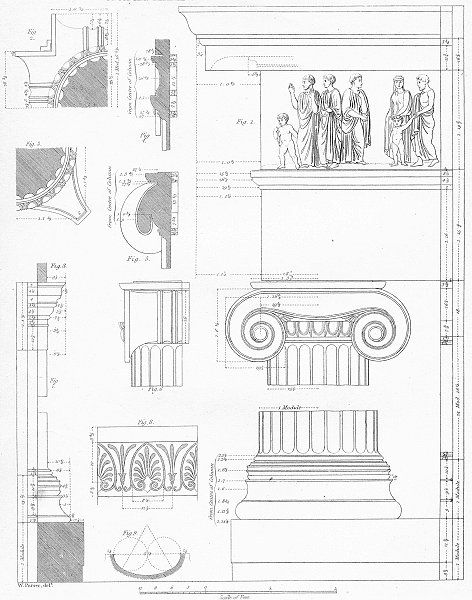   III Ionic from the temple on the river Ilyssvs near Athens