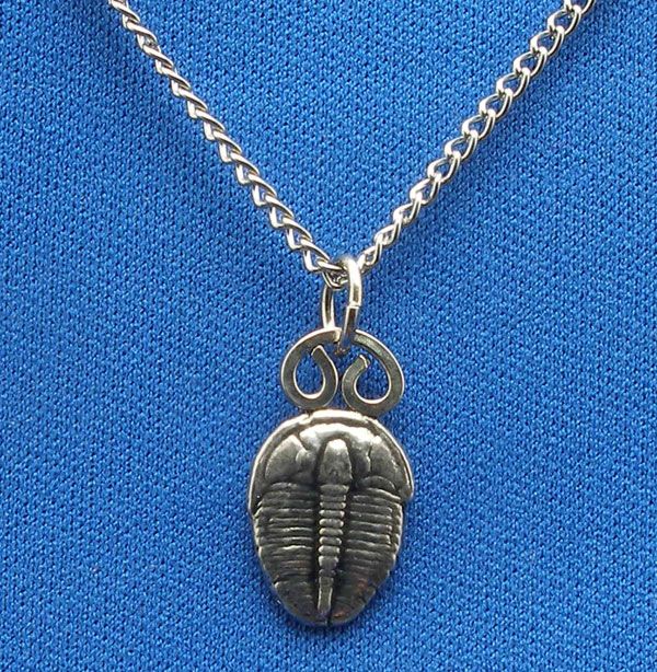 Trilobite Necklace sterling silver 9/16 Elrathia kingi  