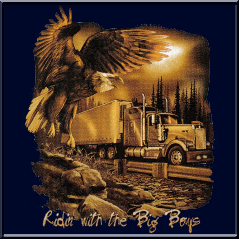 Riding w/ Big Boys Semi Driver Shirt S L,XL,2X,3X,4X,5X  