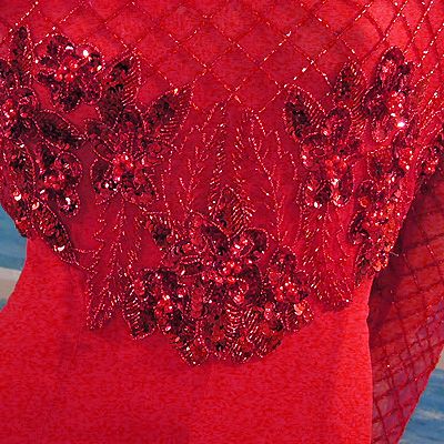 Formal Gown, Long Beaded Net Sleeves, Full Chiffon Skirt Sizes 10, 16 