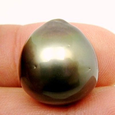 ENORMOUS METALLIC GRAY TAHITIAN PEARL  16.8x15.7mm/5.9g  