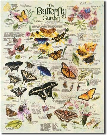 Lee   Butterfly Garden Flower Flowers Tin Metal Sign NEW  