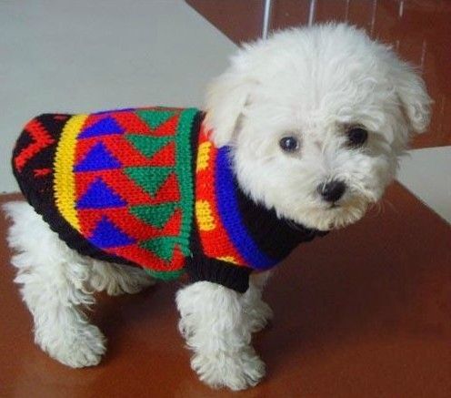 Cute Pet Cat Dog Puppy Sweater Knitwear Coat Apparel Clothes xs/s/m 