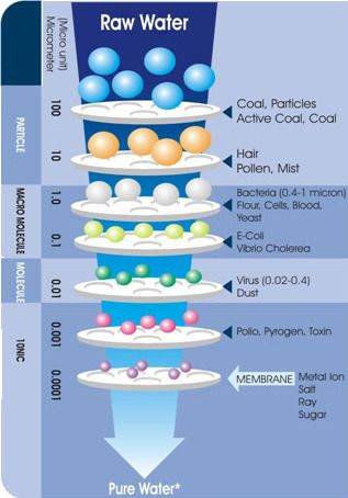 Membrane Layers 01