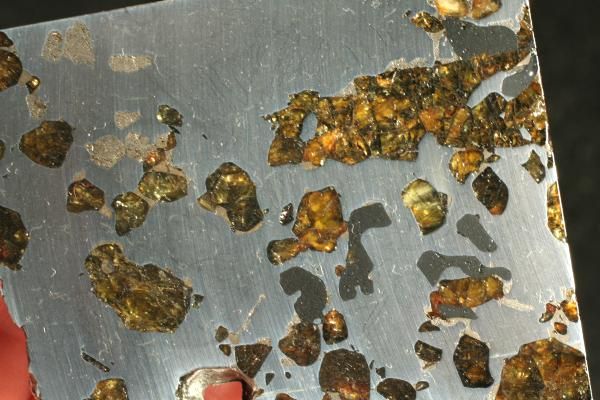 METEORITE PALLASITE SEYMCHAN PERFECT ETCHED SLICE 81g  