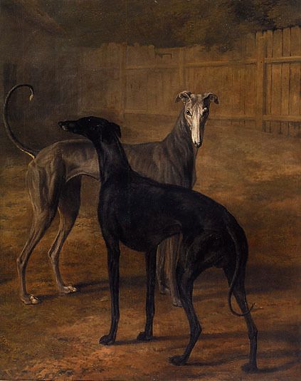 TWO GREYHOUND DOG AGASSE SWISS PAINT REPRO PAPER CANVAS  