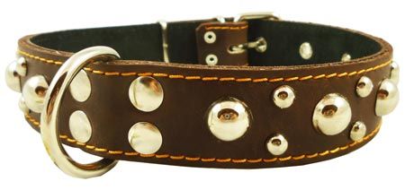 17 22.5 Double Ply Leather Dog Collar Studs 1.5 Wide Brown Large 