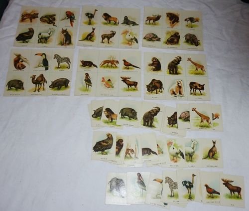 Zoo Bingo   Vintage Childrens Card Game  