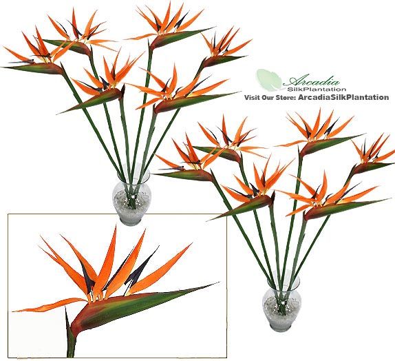 12 Bird of Paradise 36 Silk Flowers Artificial Plants  