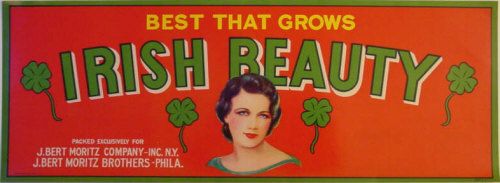 Irish Beauty Melon Crate Label New York  