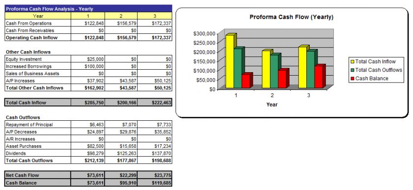 The 3 Year Financial Plan has Profit & LossStatements, a Cash Flow 