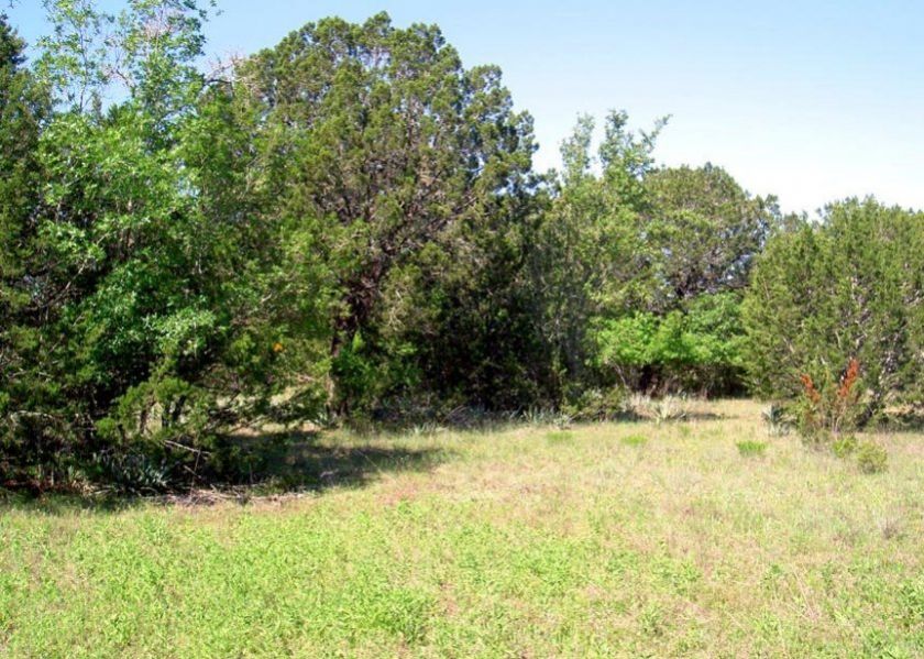 Looking North From Near SE Corner