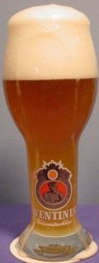 AVENTINUS Weizenstarkbier Tulip Shape BEER Glass   0.3L  